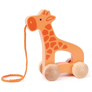 Baby & Child Toys & more