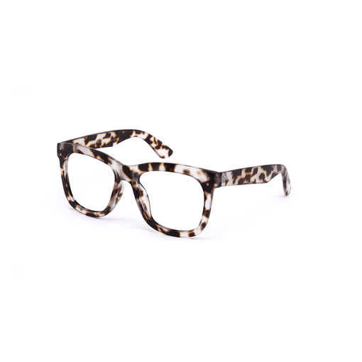 Daily Eyewear 11am Light Tort Reading The White Room Gallery