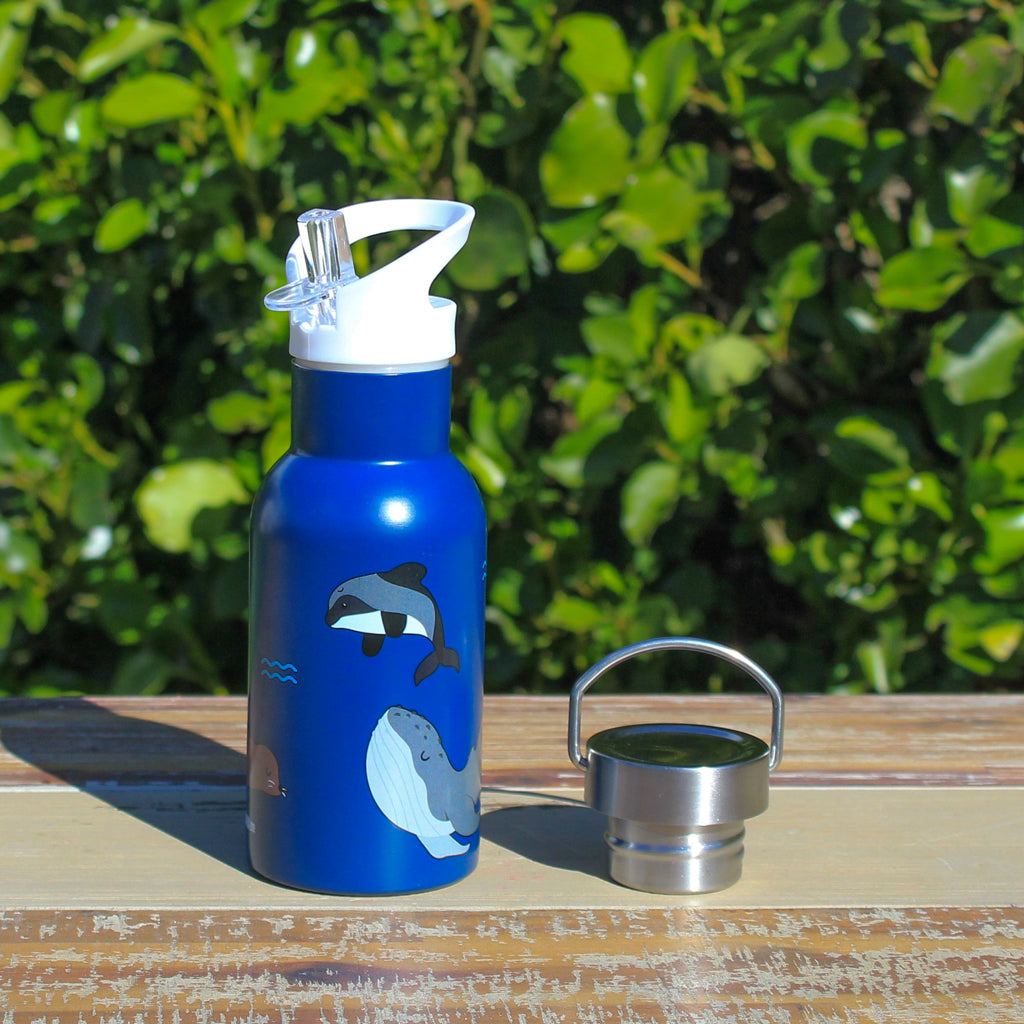 School drink bottle with snack compartment - Kiwi Smooshie Bottle