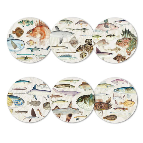 Fishes of New Zealand Coasters Boxed Set