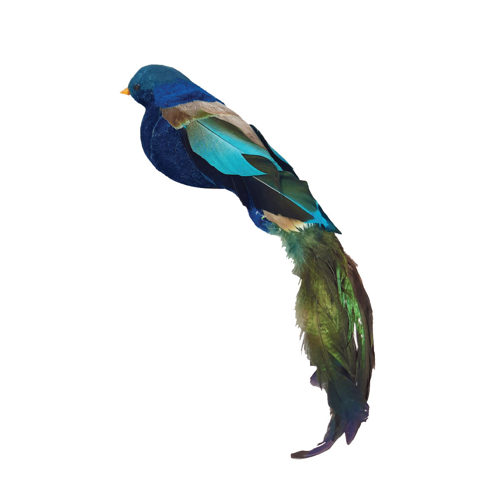 Feather Tui with Clip, Large