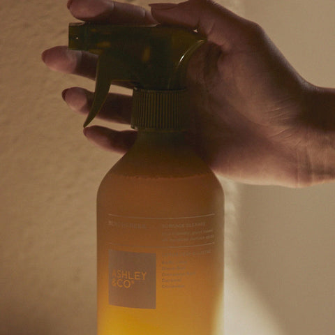 HomeKeeping Benchpress Surface Cleanse