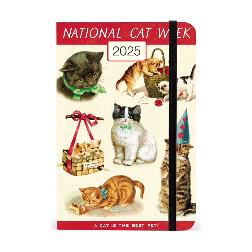 A6 Weekly Planner 2025, Cats