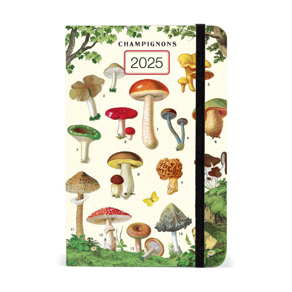 A6 Weekly Planner 2025, Mushrooms