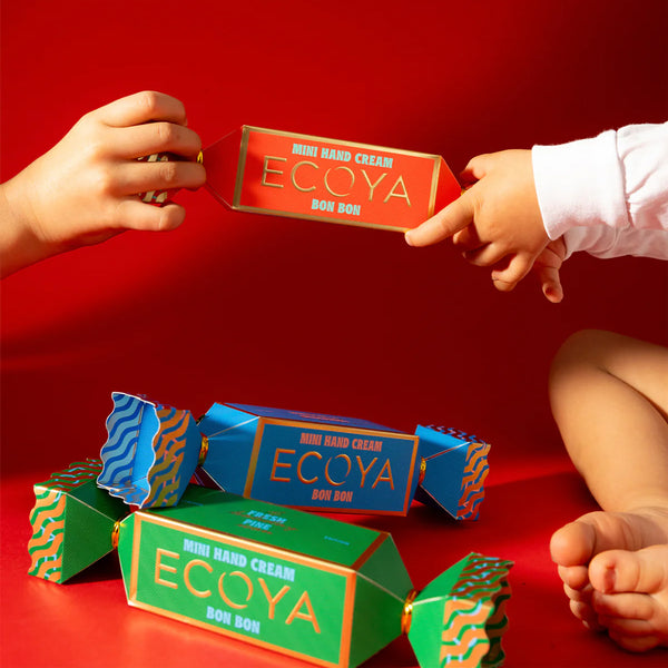 2025 Holiday Collection Bon Bon