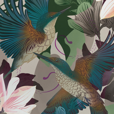 Evolution Kingfishers Boutique Print A4