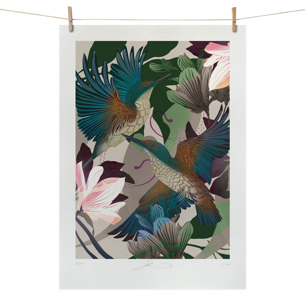 Evolution Kingfishers Boutique Print A4