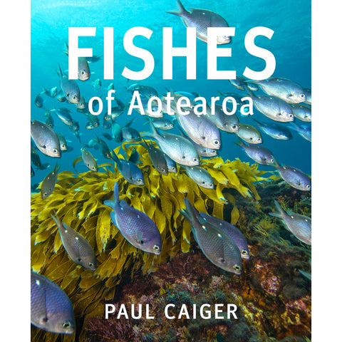 Fishes of Aotearoa by Paul Caiger