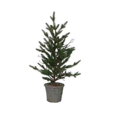 Pine Tree with Rattan Basket Small