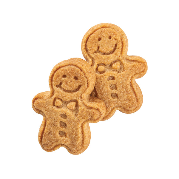 Gingerbread Mini People
