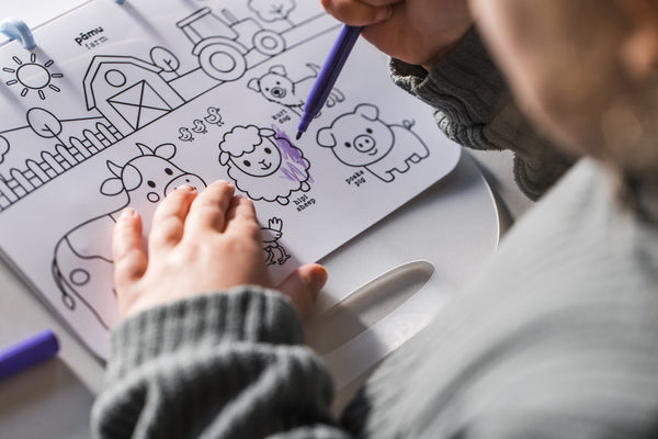 Colour and Wipe Book, Aotearoa