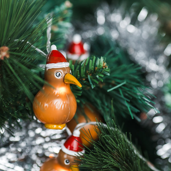 Kiwiana Christmas Kiwi Santa Lights