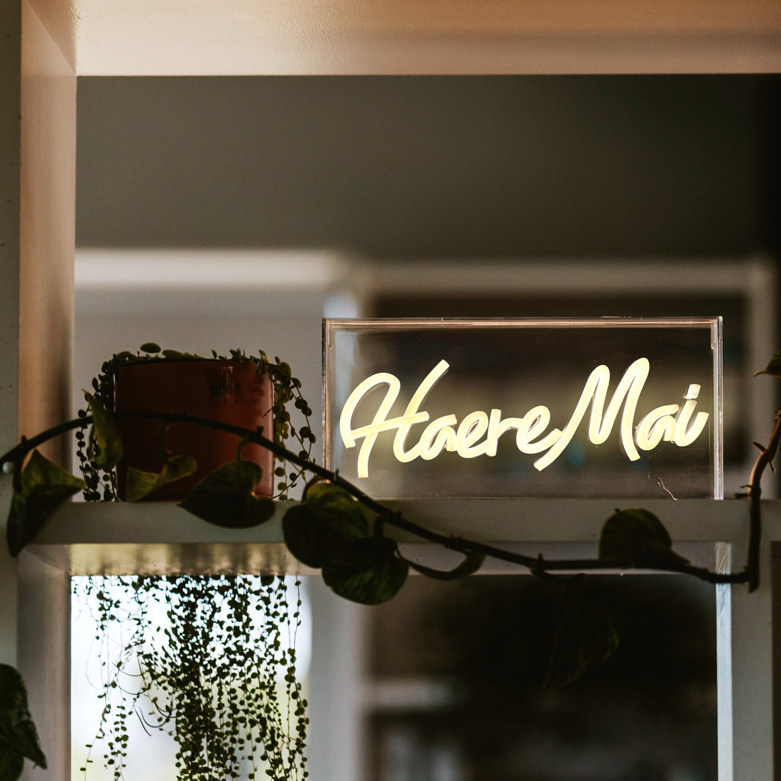 Neon Light - Haere Mai