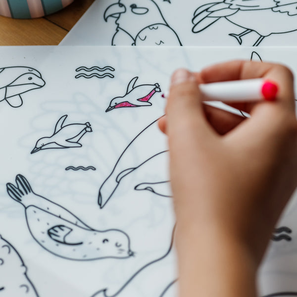 Silicone Colour-In Placemats