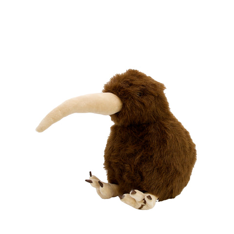 Barry the Brown Kiwi