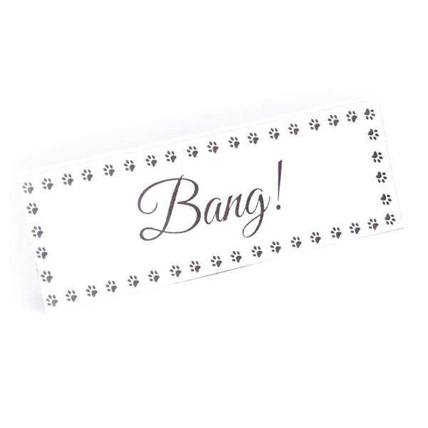 Pet Toy Christmas Cracker