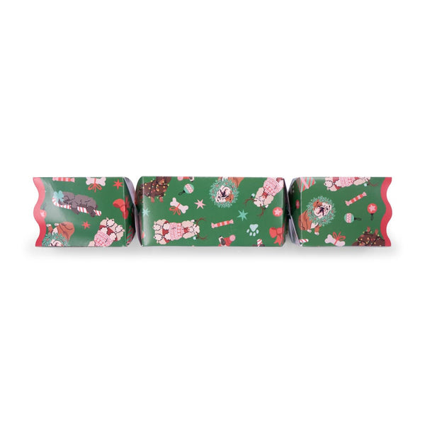 Pet Toy Christmas Cracker