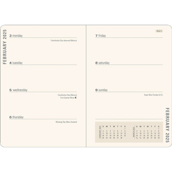 16 Month Weekly Planner 2025, Old World