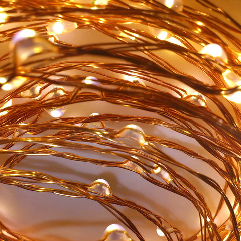 2m 20 LED Seed Lights String (Batt incl), Copper Warm White