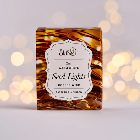 2m 20 LED Seed Lights String (Batt incl), Copper Warm White