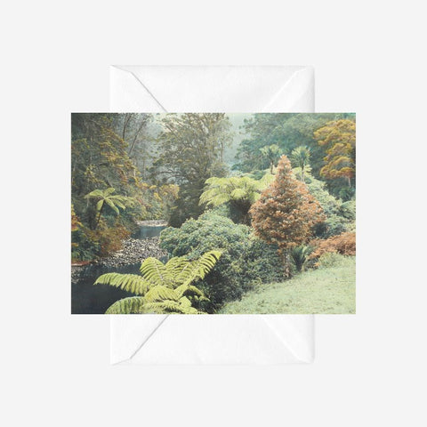 New Zealand Bush, Whites Aviation - Greeting Card