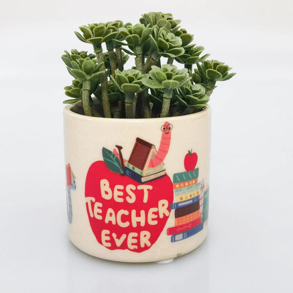 Bookworm Best Teacher Ever Planter 8cm