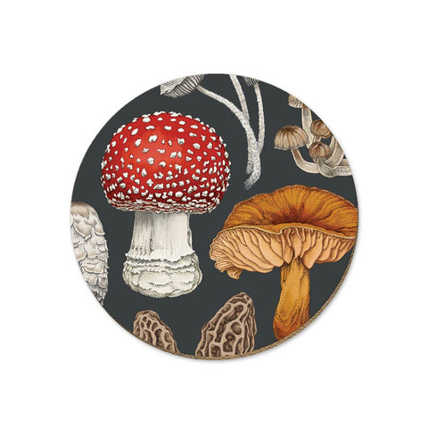 NZ Fungi Coaster, Morchella