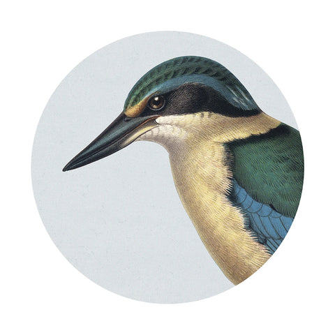 Hushed Blue Kingfisher Art Spot