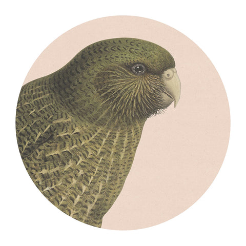 Hushed Blush Kakapo Placemat