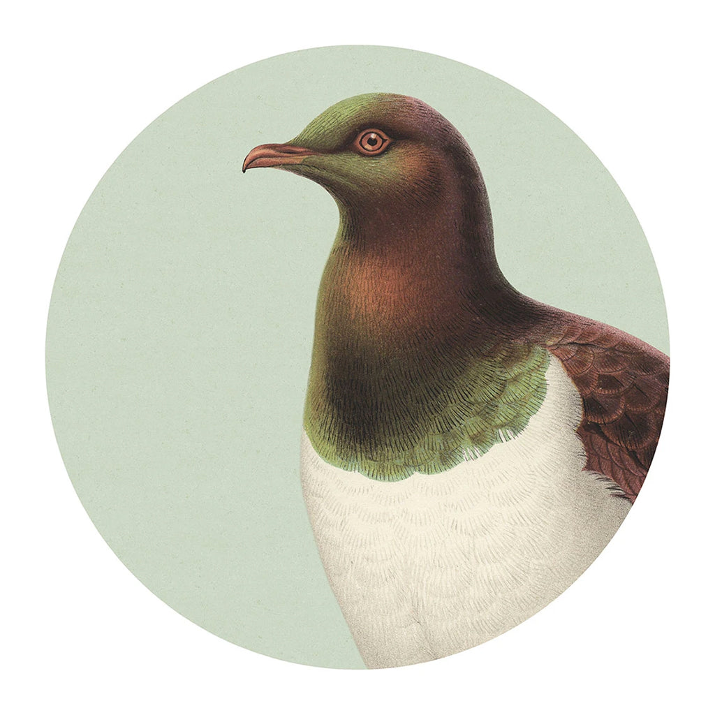 Hushed Green Kereru Placemat