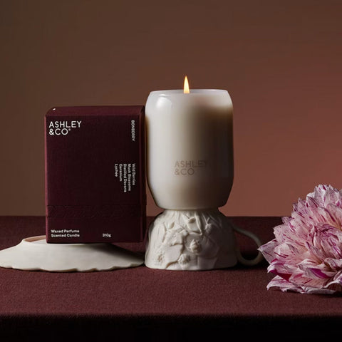 Lotus Leaf & Lustre  Waxed Perfume Candle