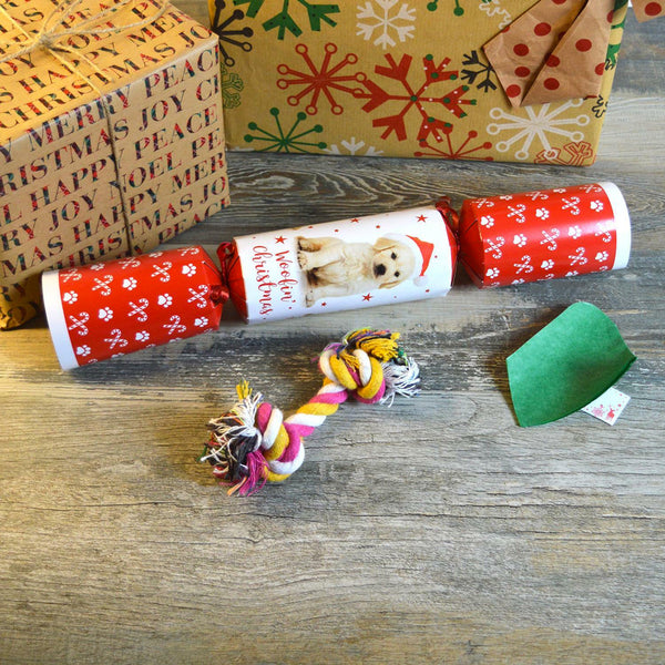 Pet Christmas Cracker