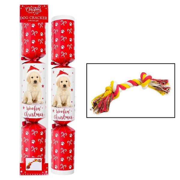 Pet Christmas Cracker