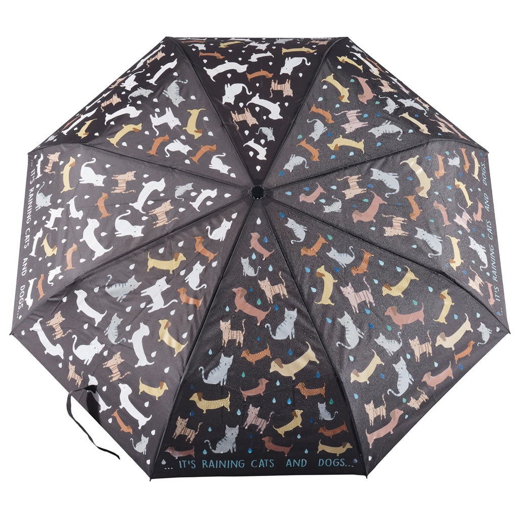 Cats & Dogs Fold Up Colour Change Umbrella
