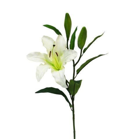 Rubrum Lily in White from Flower Systems.