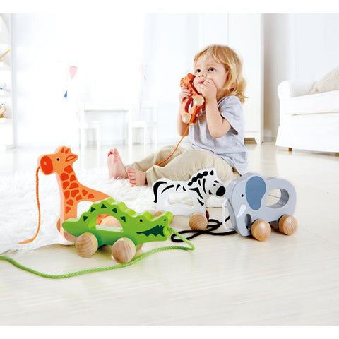 Giraffe Push & Pull Toy