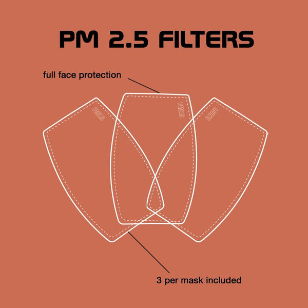 Diagram showing PM 2.5 Filters features: shaped for full face protection, 3 per mask included.