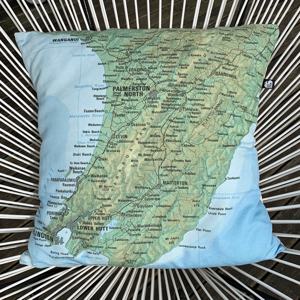 Vintage Wellington Province Map Cushion Cover