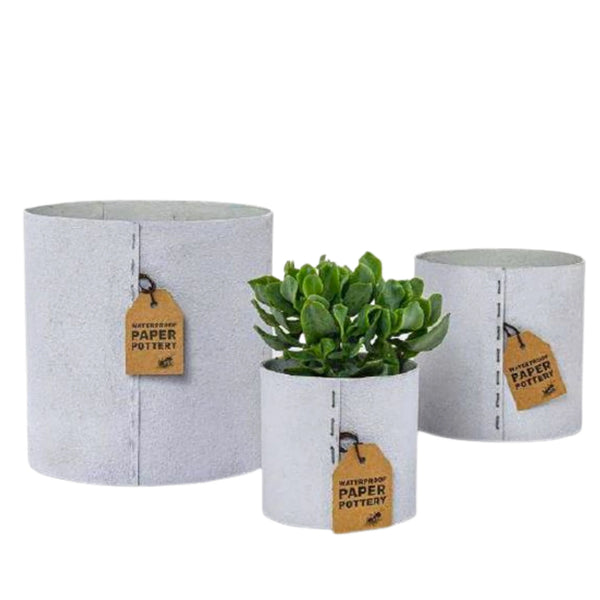 Paper Pottery EcoMax Airlie Pots in Grey.