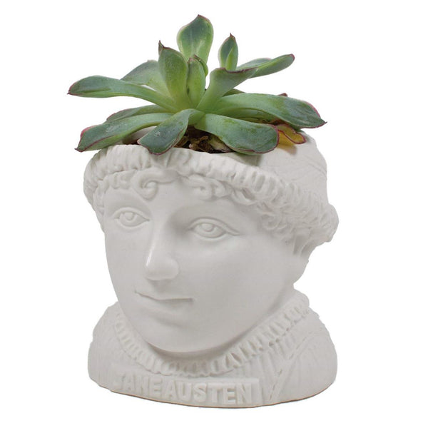 Philosophers Guild Jane Austen Fertile Mind Planter with plant.