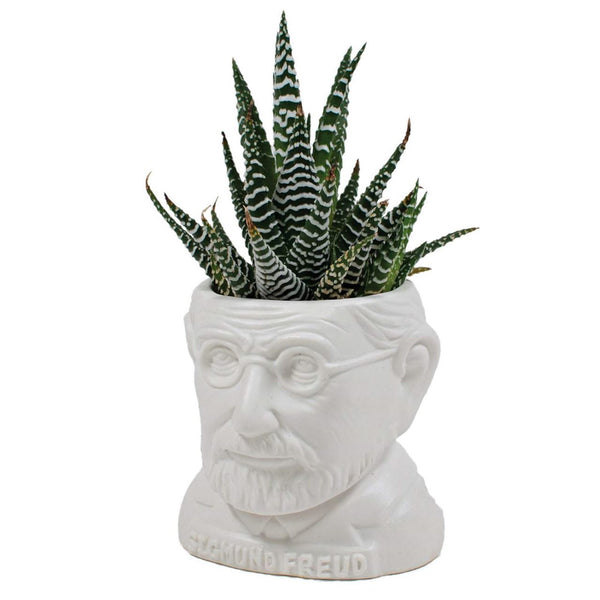 Philosophers Guild Sigmund Freud Fertile Mind Planter with plant.