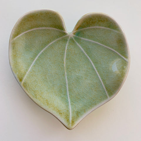 Kawakawa Heart Leaf - Medium Green