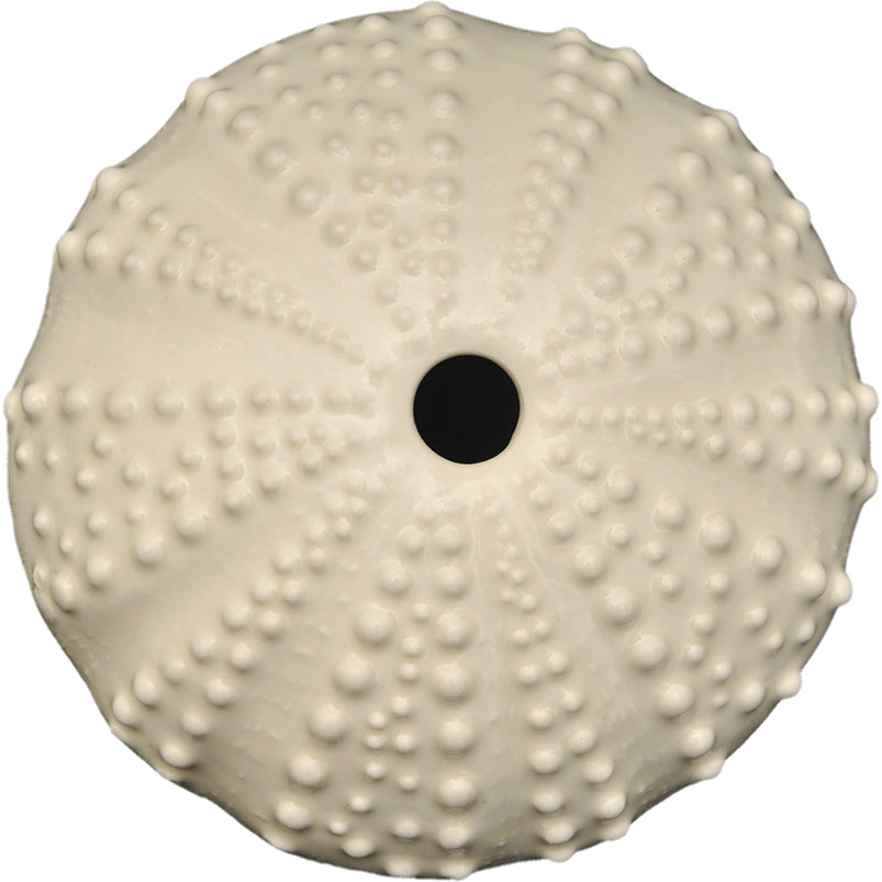 Steiner Ceramics Kina White