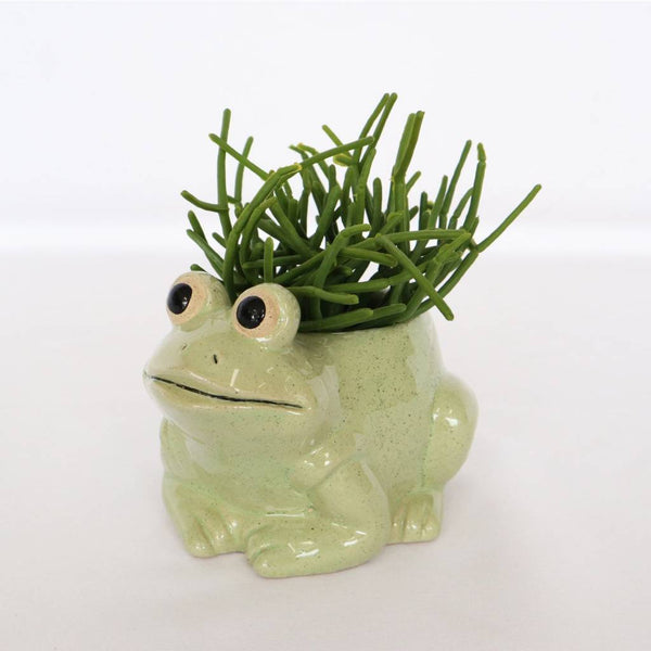 Frog Planter Light Green Small, 9cm