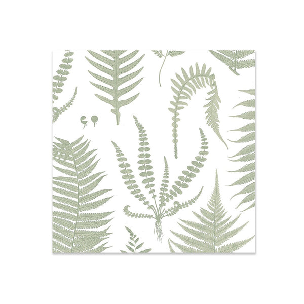 Clearcut image of Wolfkamp & Stone Vintage Botanical Cotton Napkin, NZ Ferns design.